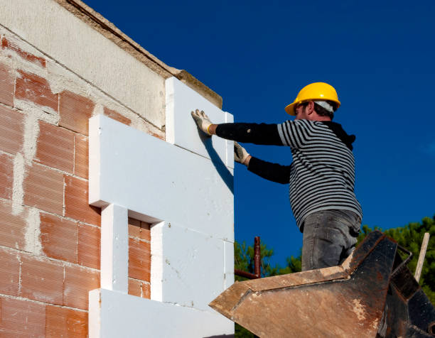 Best Eco-Friendly Insulation in Pasadena Hills, FL