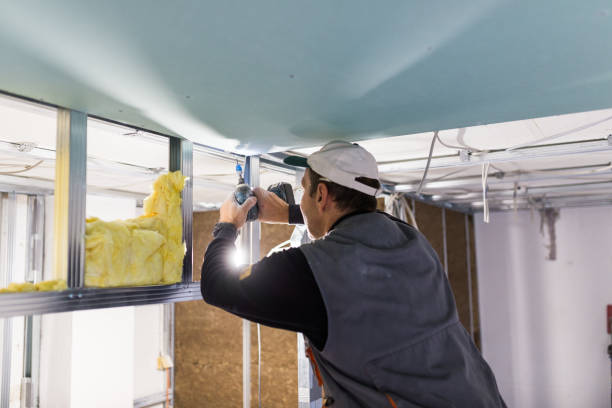 Best Cellulose Insulation in Pasadena Hills, FL