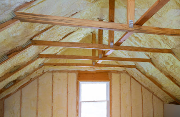 Best Spray Foam Insulation in Pasadena Hills, FL