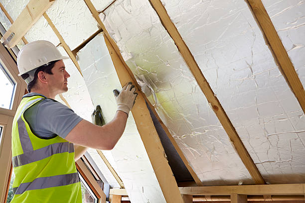 Types of Insulation We Offer in Pasadena Hills, FL
