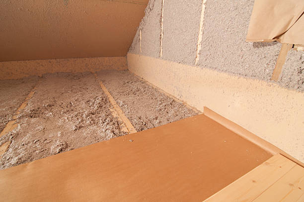 Best Insulation Maintenance and Repair in Pasadena Hills, FL