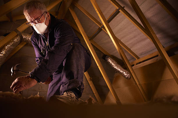 Best Spray Foam Insulation in Pasadena Hills, FL
