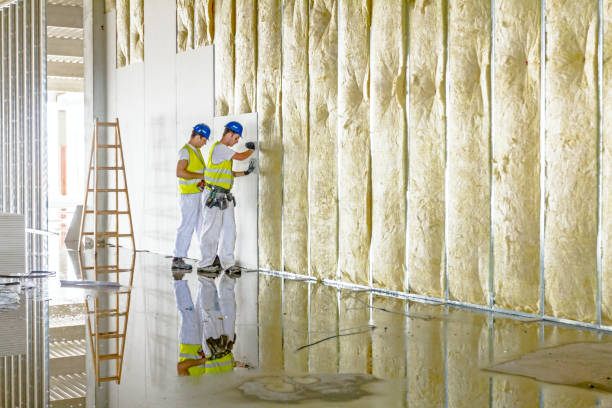 Best Residential Insulation in Pasadena Hills, FL